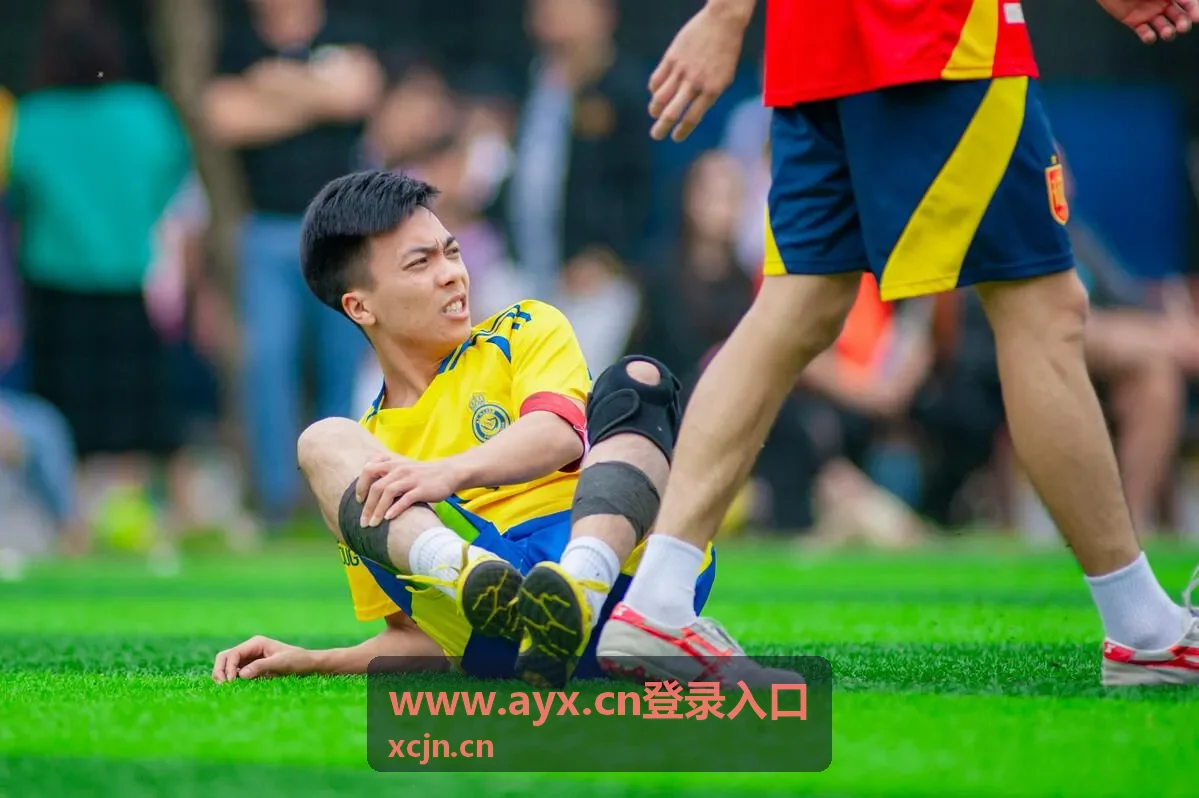 www.ayx.cn登录入口账号接入与开通示意