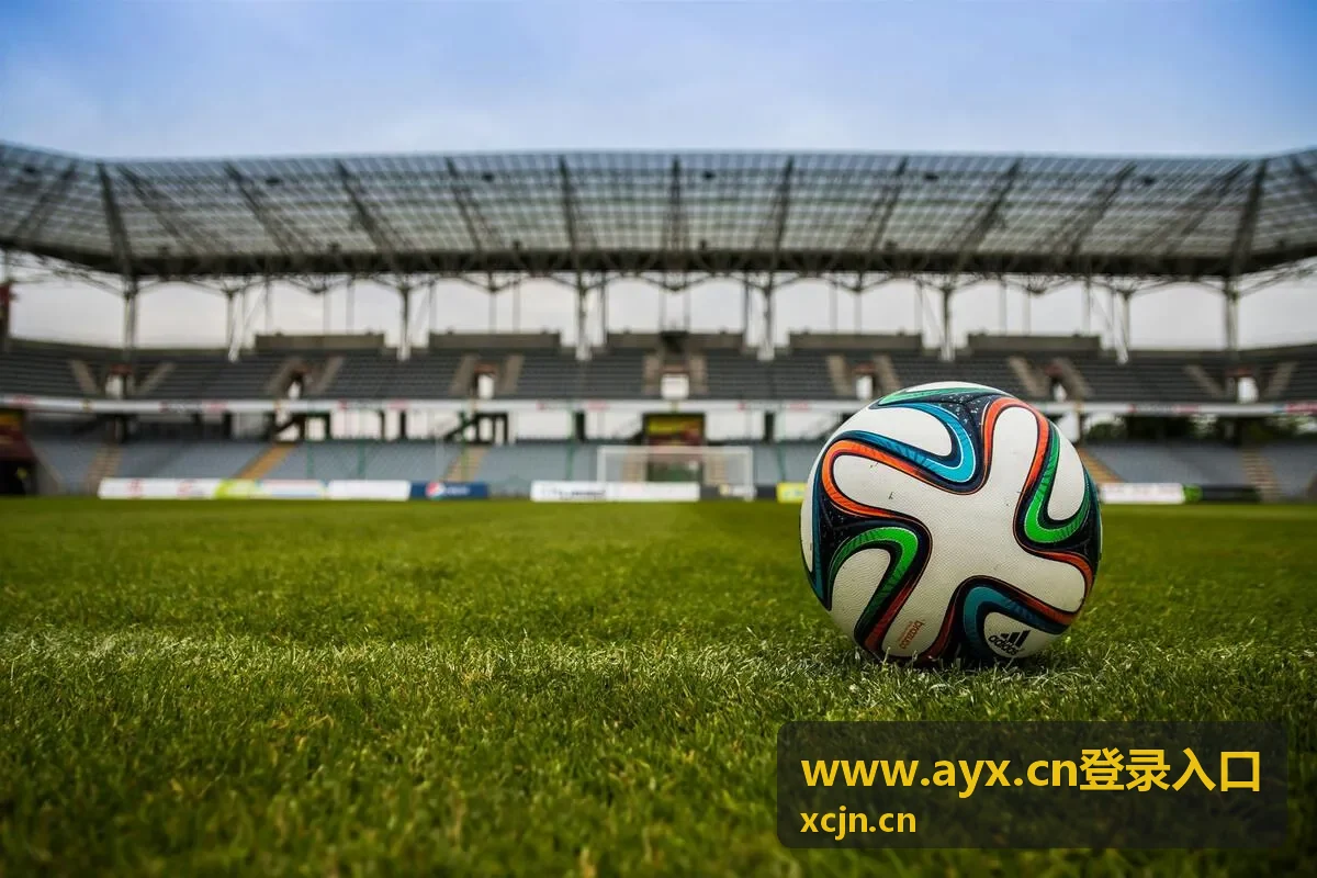 www.ayx.cn登录入口渠道服务商接入场景