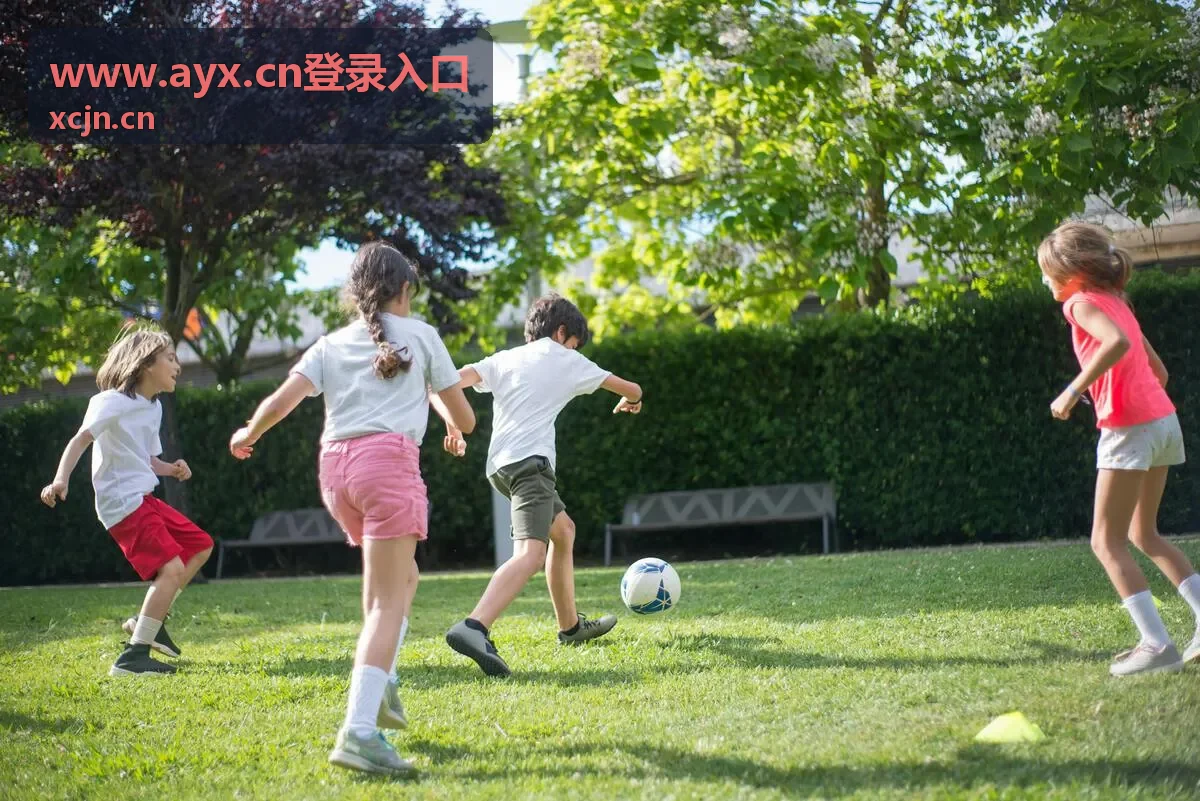www.ayx.cn登录入口多门店账号管理场景