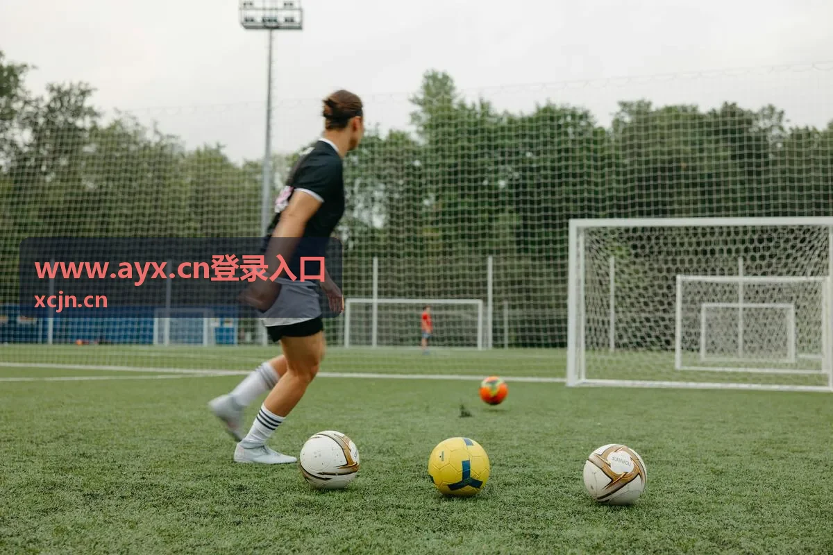 www.ayx.cn登录入口团队协作权限分配场景
