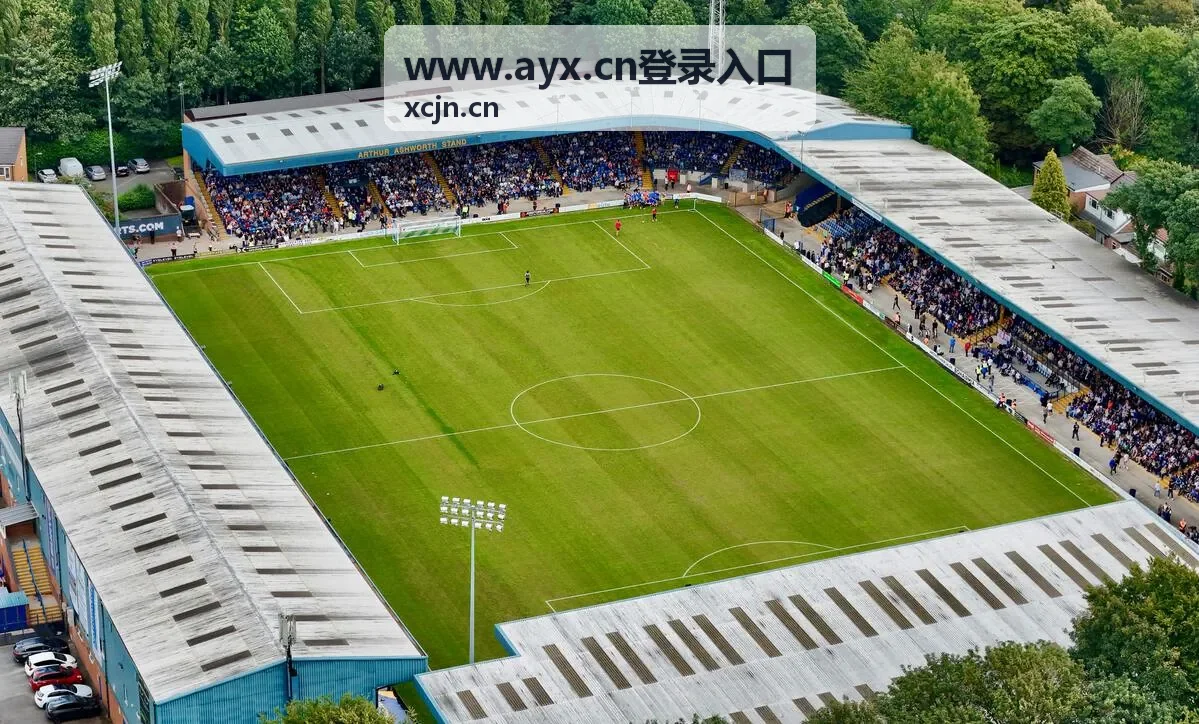 www.ayx.cn登录入口密码找回自助处理场景